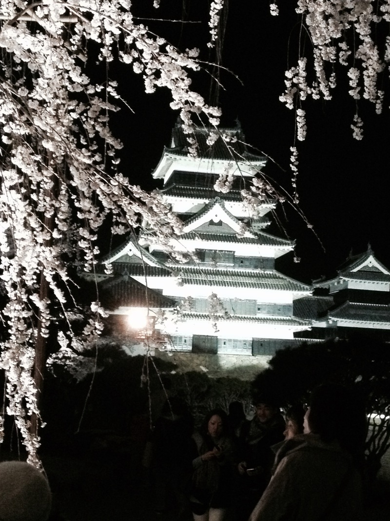 第20回 国宝松本城「夜桜会」開催中♪